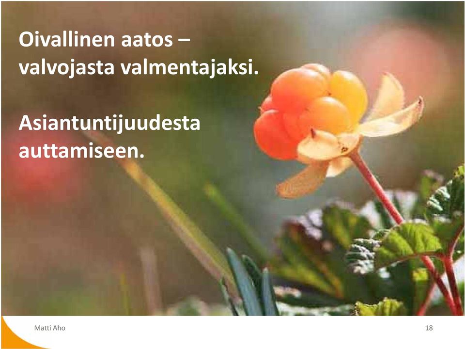 valmentajaksi.