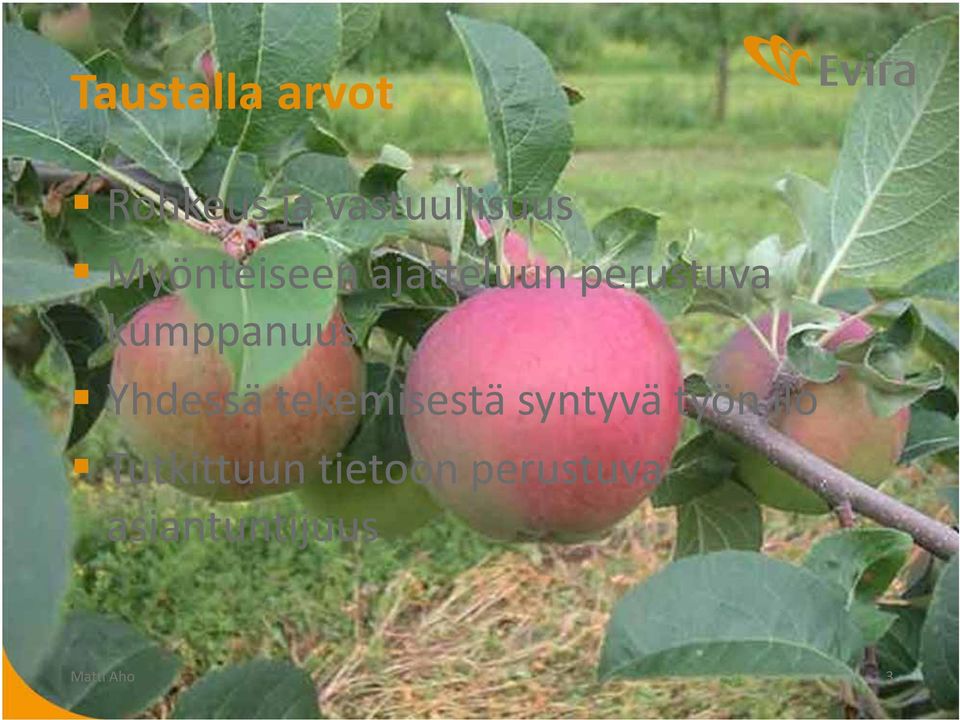 Yhdessä tekemisestä syntyvä työn ilo