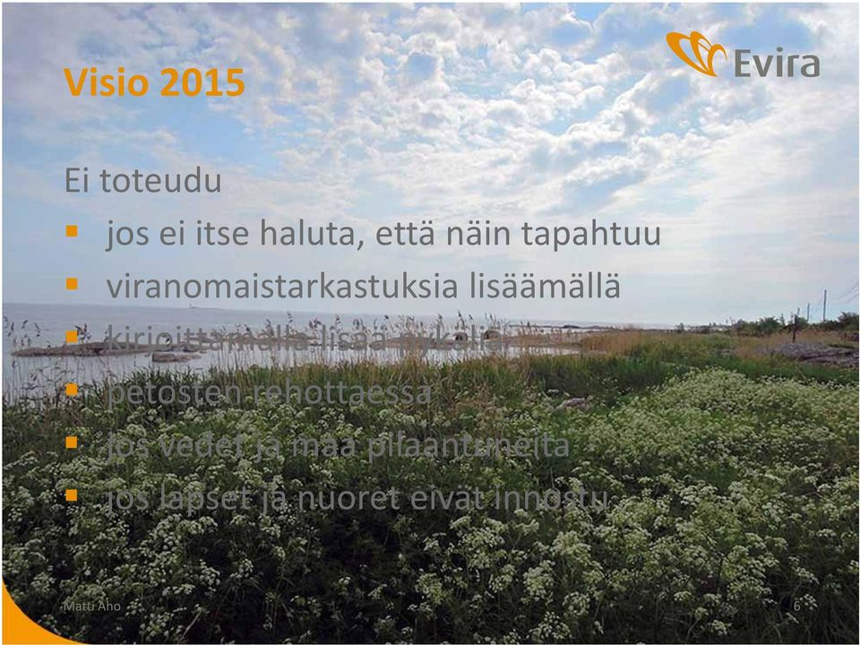 kirjoittamalla lisää pykäliä petosten rehottaessa jos