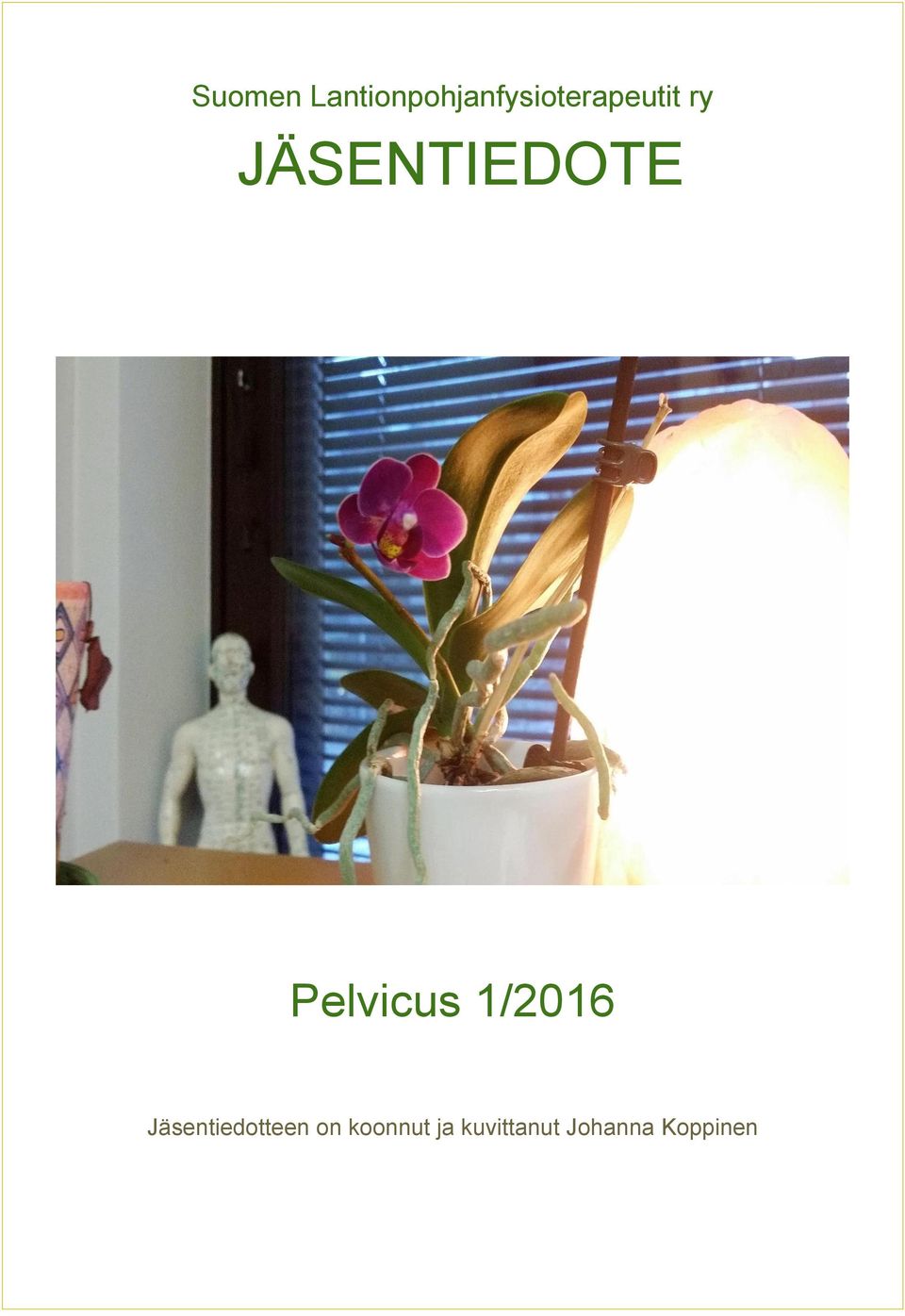 JÄSENTIEDOTE Pelvicus 1/2016