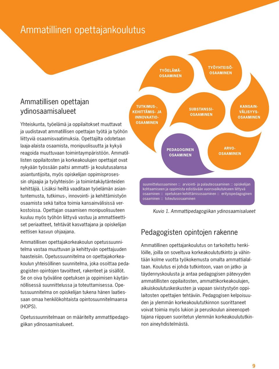 Ammatillisten oppilaitosten ja korkeakoulujen opettajat ovat nykyään työssään paitsi ammatti- ja koulutusalansa asiantuntijoita, myös opiskelijan oppimisprosessin ohjaajia ja työyhteisön- ja
