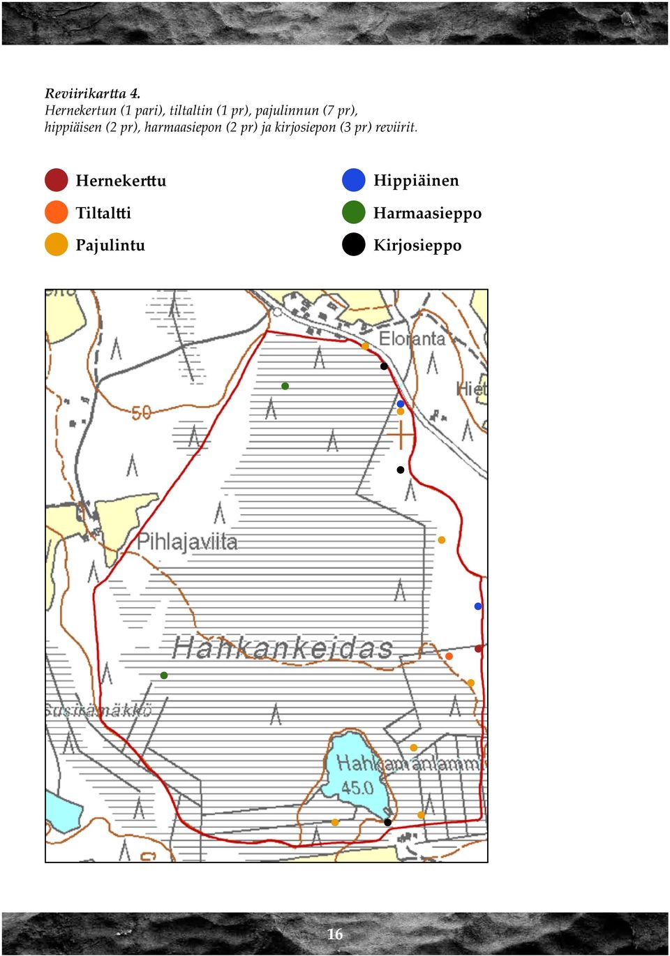 pr), hippiäisen (2 pr), harmaasiepon (2 pr) ja