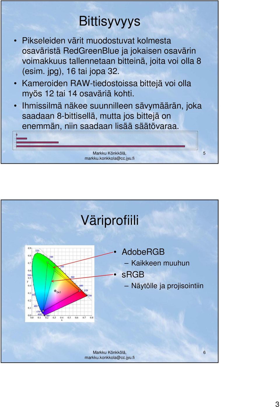 Kameroiden RAW-tiedostoissa bittejä voi olla myös 12 tai 14 osaväriä kohti.