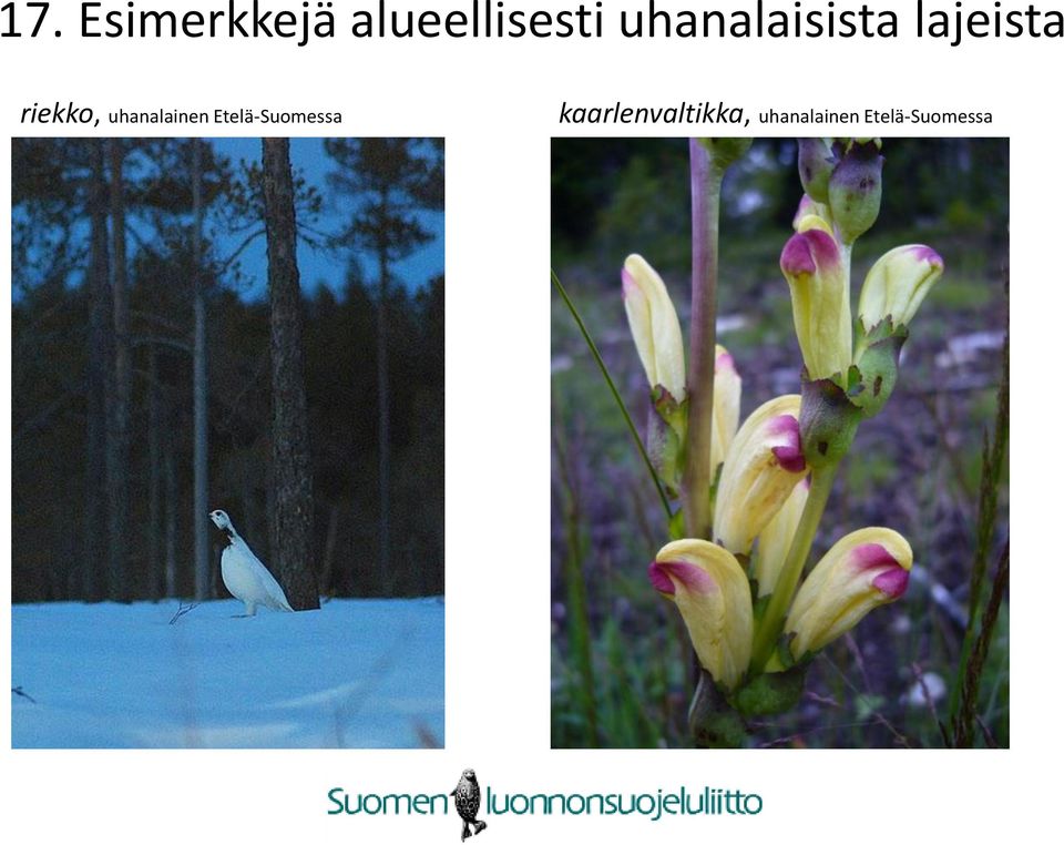 uhanalainen Etelä-Suomessa
