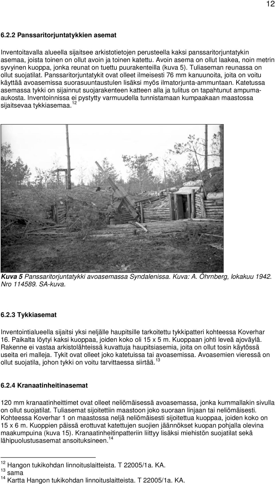 Panssaritorjuntatykit ovat olleet ilmeisesti 76 mm kanuunoita, joita on voitu käyttää avoasemissa suorasuuntaustulen lisäksi myös ilmatorjunta-ammuntaan.