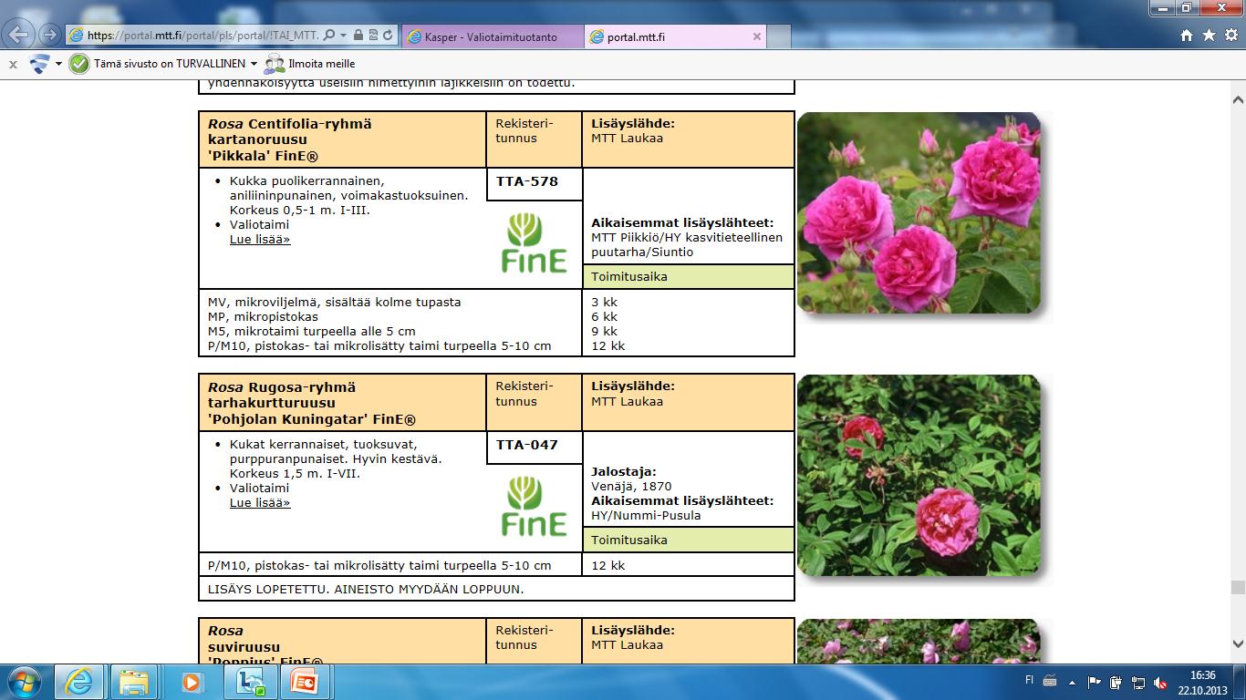 MTT:n puutarhakasvien verkkosivujen kehittäminen MTT:n Kasper-verkkopalvelun valiotaimituotannon tuoteluettelo ja FinE-sivut avattiin vuonna 2011