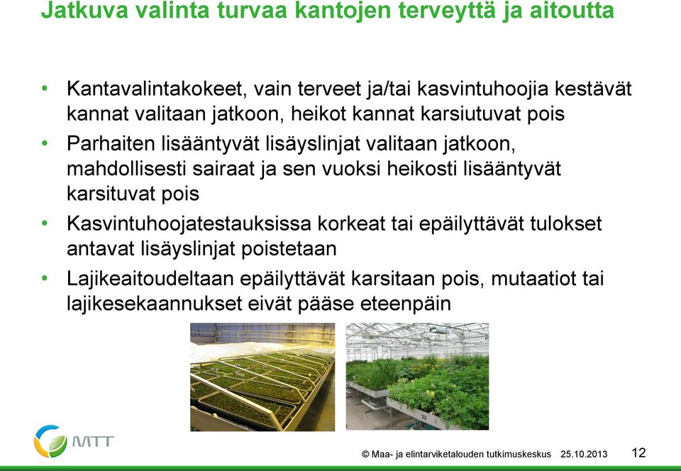 lisääntyvät karsituvat pois Kasvintuhoojatestauksissa korkeat tai epäilyttävät tulokset antavat lisäyslinjat poistetaan