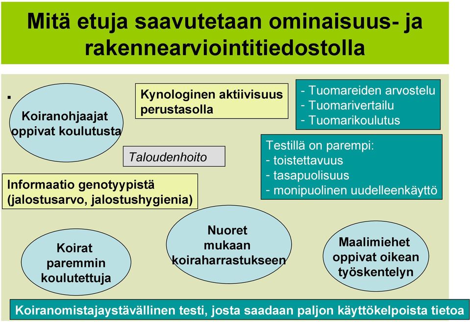 jalostushygienia) Koirat paremmin koulutettuja - Tuomareiden arvostelu - Tuomarivertailu - Tuomarikoulutus Testillä on parempi: -