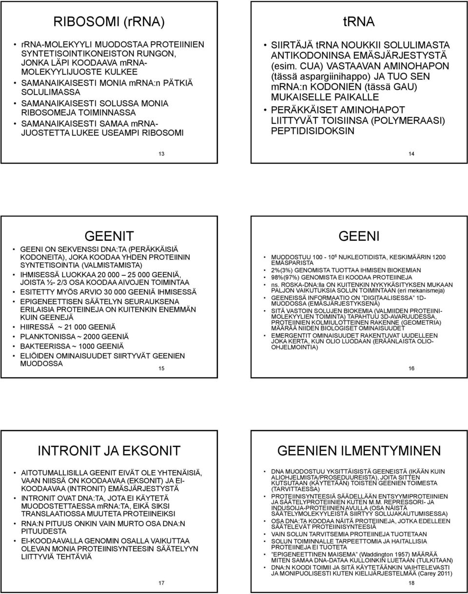 CUA) VASTAAVAN AMINOHAPON (tässä aspargiinihappo) JA TUO SEN mrna:n KODONIEN (tässä GAU) MUKAISELLE PAIKALLE PERÄKKÄISET AMINOHAPOT LIITTYVÄT TOISIINSA (POLYMERAASI) PEPTIDISIDOKSIN 13 14 GEENIT