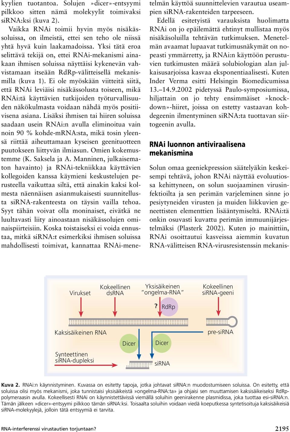 Yksi tätä eroa selittävä tekijä on, ettei RNAi-mekanismi ainakaan ihmisen soluissa näyttäisi kykenevän vahvistamaan itseään RdRp-välitteisellä mekanismilla (kuva 1).