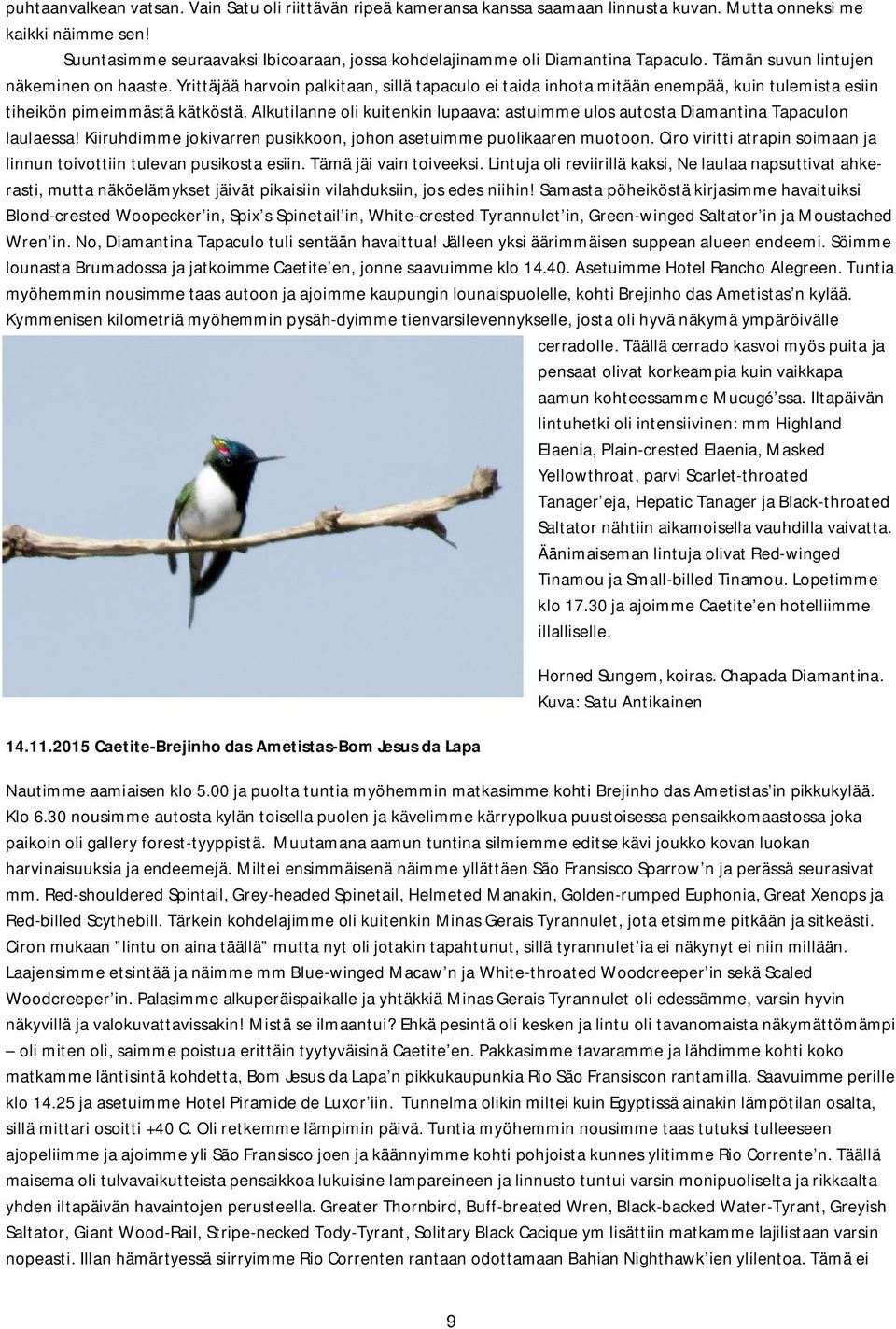 Yrittäjää harvoin palkitaan, sillä tapaculo ei taida inhota mitään enempää, kuin tulemista esiin tiheikön pimeimmästä kätköstä.