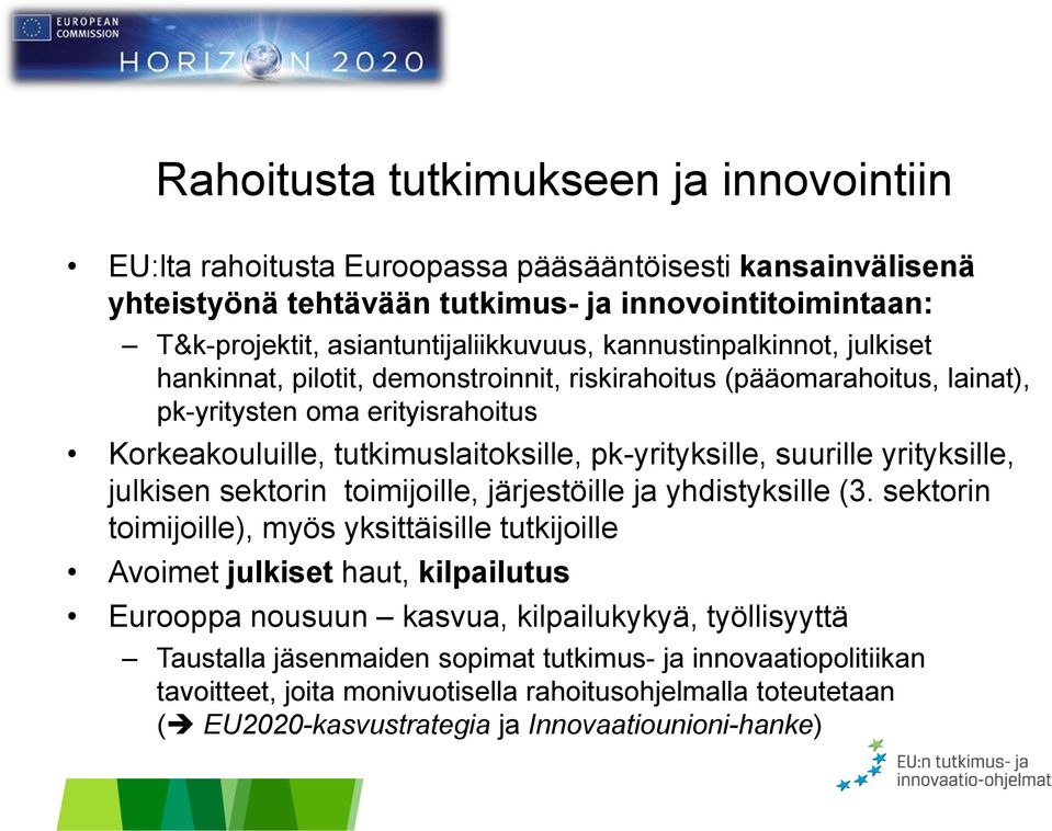 suurille yrityksille, julkisen sektorin toimijoille, järjestöille ja yhdistyksille (3.