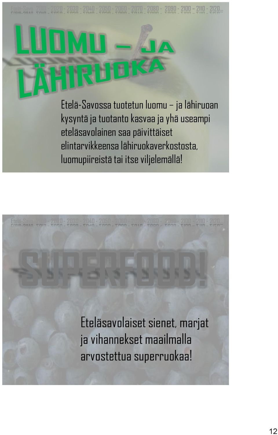 lähiruokaverkostosta, luomupiireistä tai itse viljelemällä! SUPERFOOD!