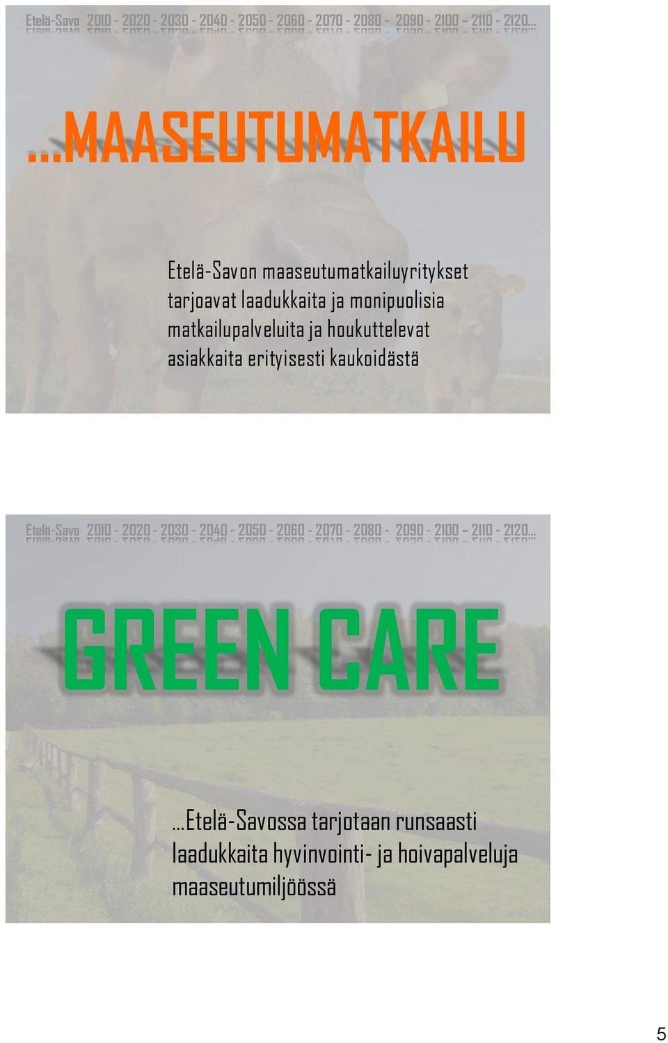 asiakkaita erityisesti kaukoidästä GREEN CARE Etelä-Savossa