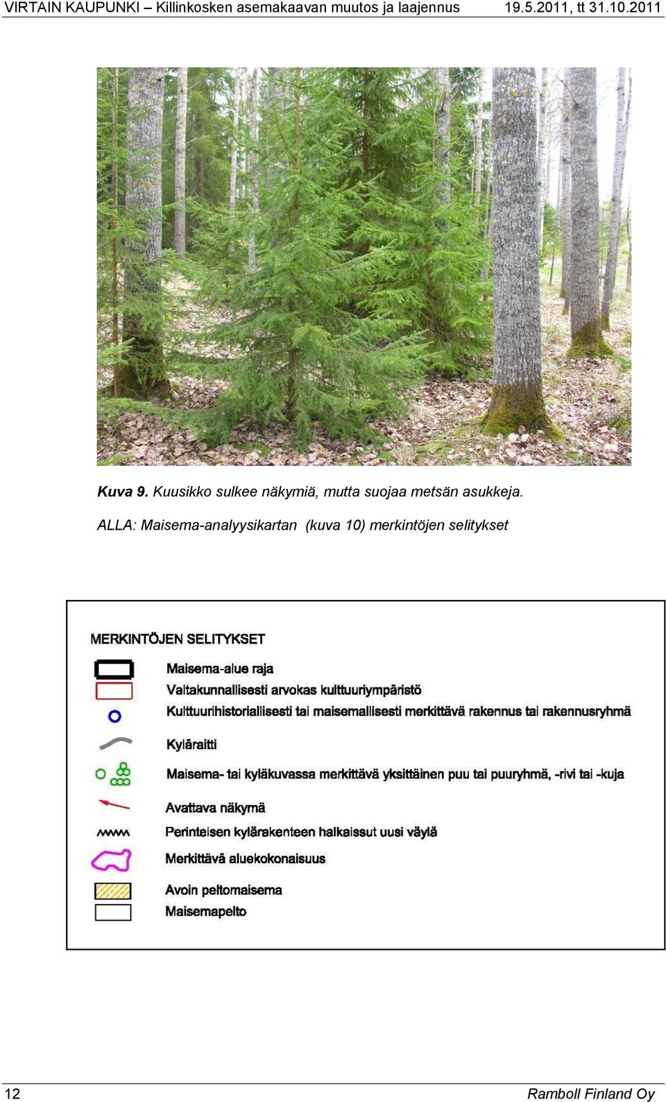 suojaa metsän asukkeja.