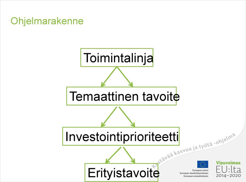 Temaattinen tavoite