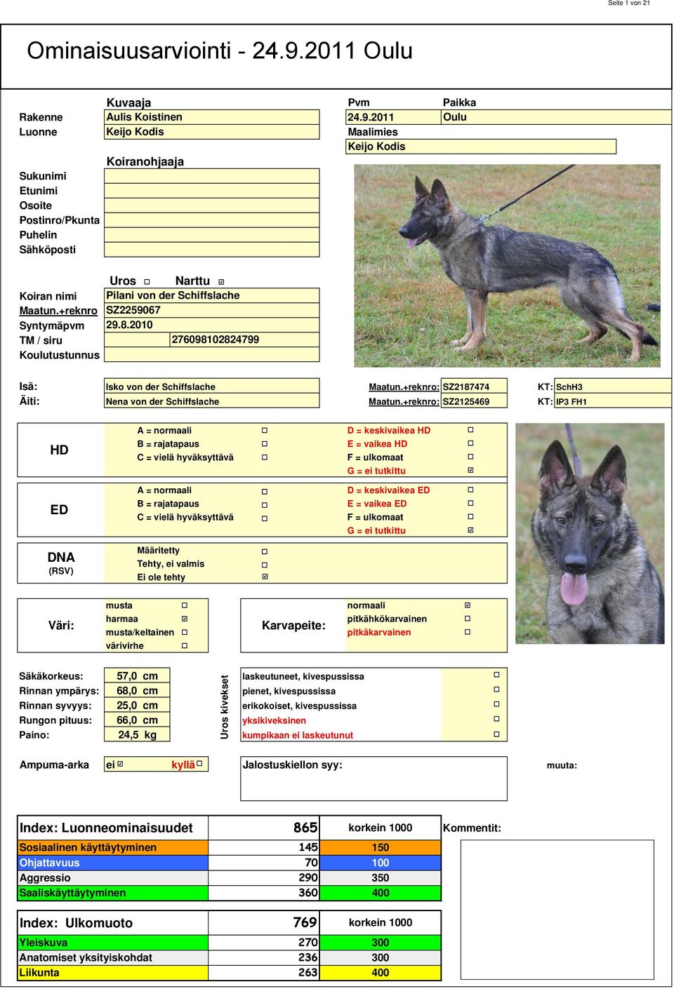 +reknro: SZ287474 KT: SchH Äiti: Nena von der Schiffslache Maatun.