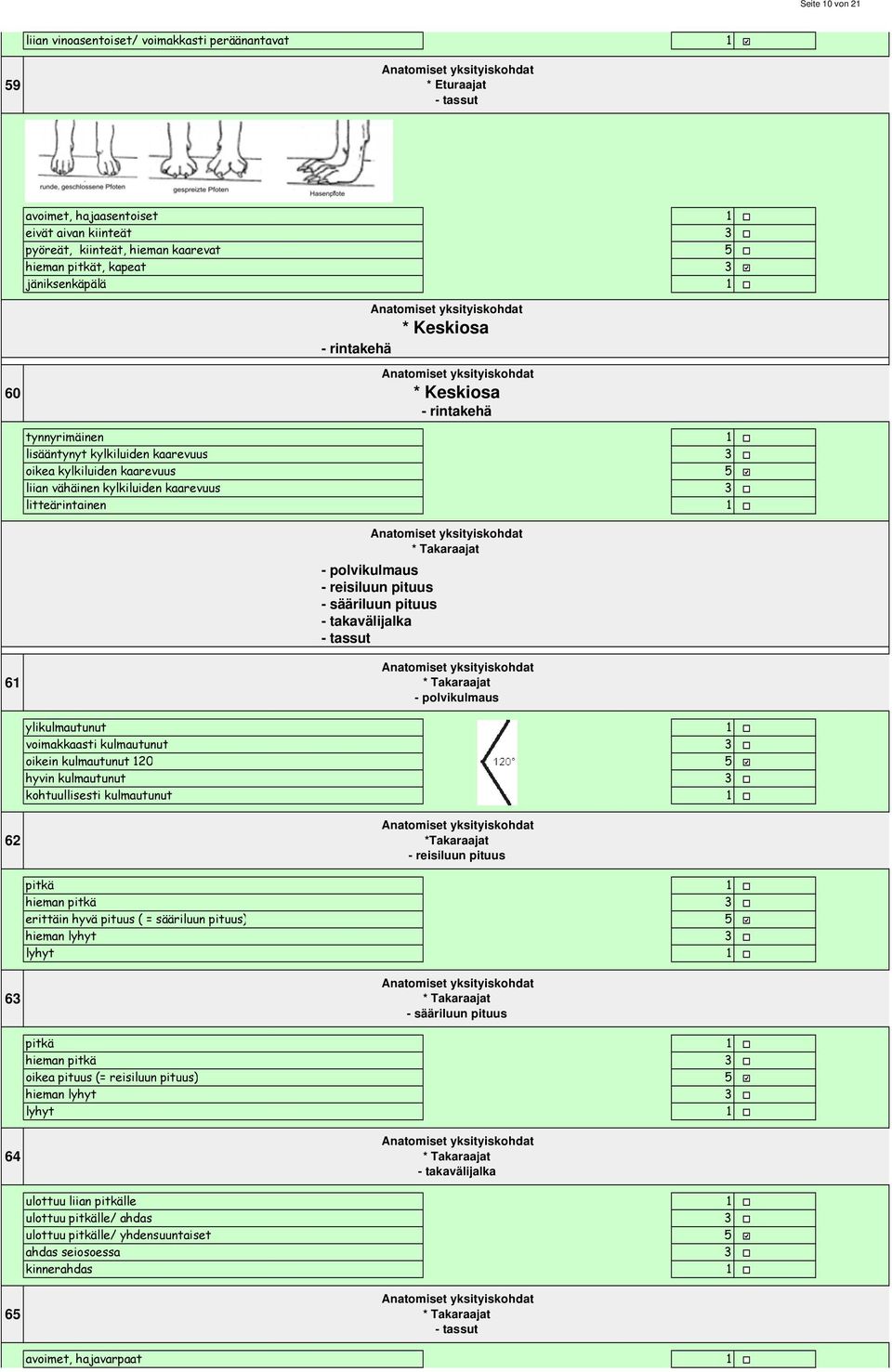 pituus - sääriluun pituus - takavälijalka - tassut * Keskiosa - rintakehä * Takaraajat 6 * Takaraajat - polvikulmaus ylikulmautunut voimakkaasti kulmautunut oikein kulmautunut 20 hyvin kulmautunut