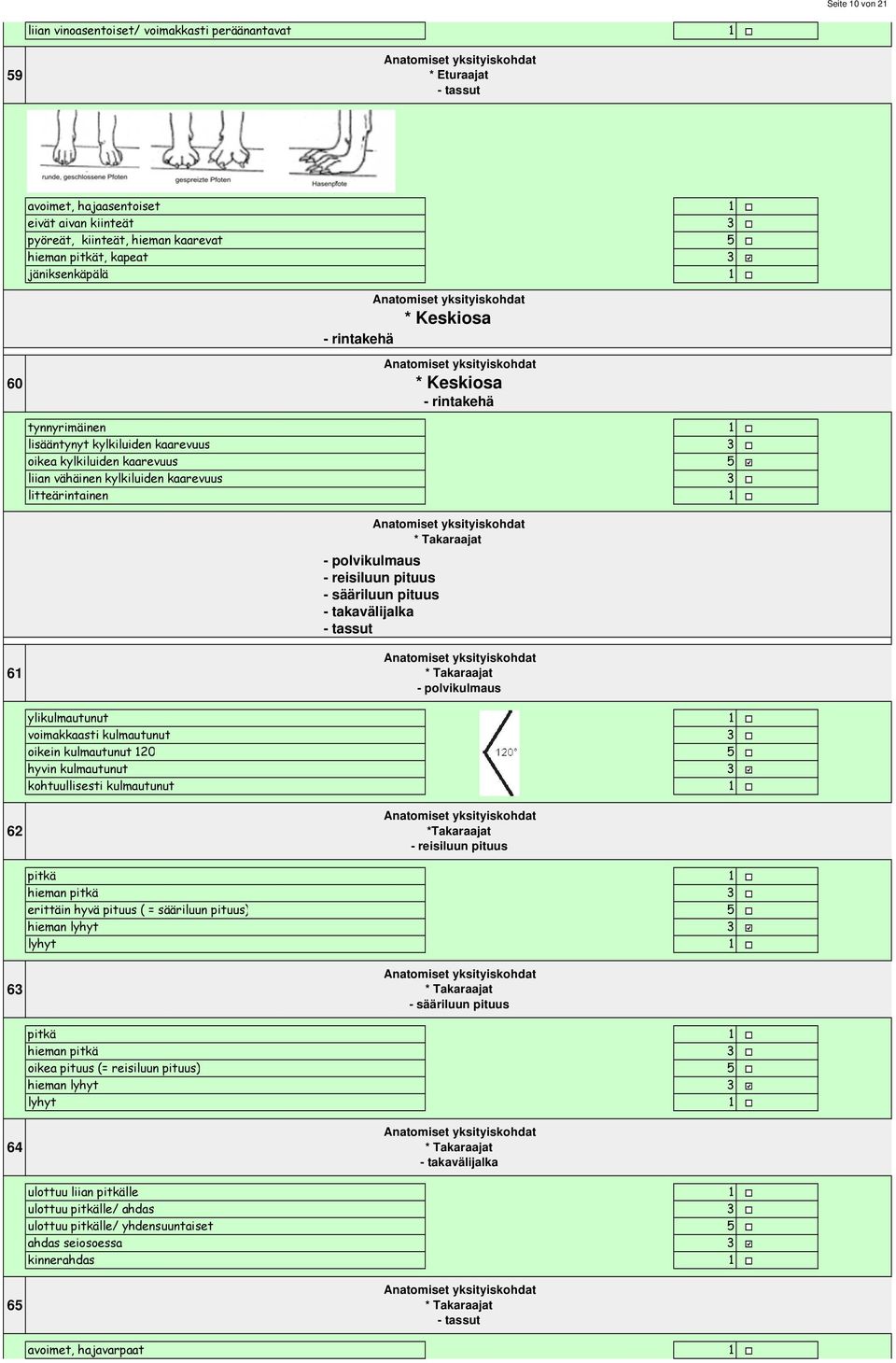 Takaraajat - polvikulmaus - reisiluun pituus - sääriluun pituus - takavälijalka - tassut 6 * Takaraajat - polvikulmaus ylikulmautunut voimakkaasti kulmautunut oikein kulmautunut 20 hyvin kulmautunut