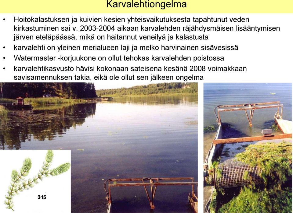 karvalehti on yleinen merialueen laji ja melko harvinainen sisävesissä Watermaster -korjuukone on ollut tehokas