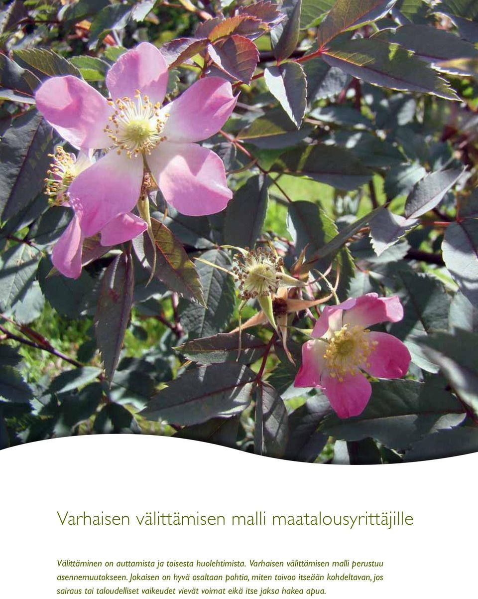 Varhaisen välittämisen malli perustuu asennemuutokseen.