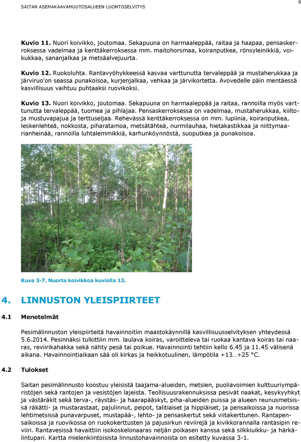 Rantavyöhykkeessä kasvaa varttunutta tervaleppää ja mustaherukkaa ja järviruo on seassa punakoisoa, kurjenjalkaa, vehkaa ja järvikortetta.