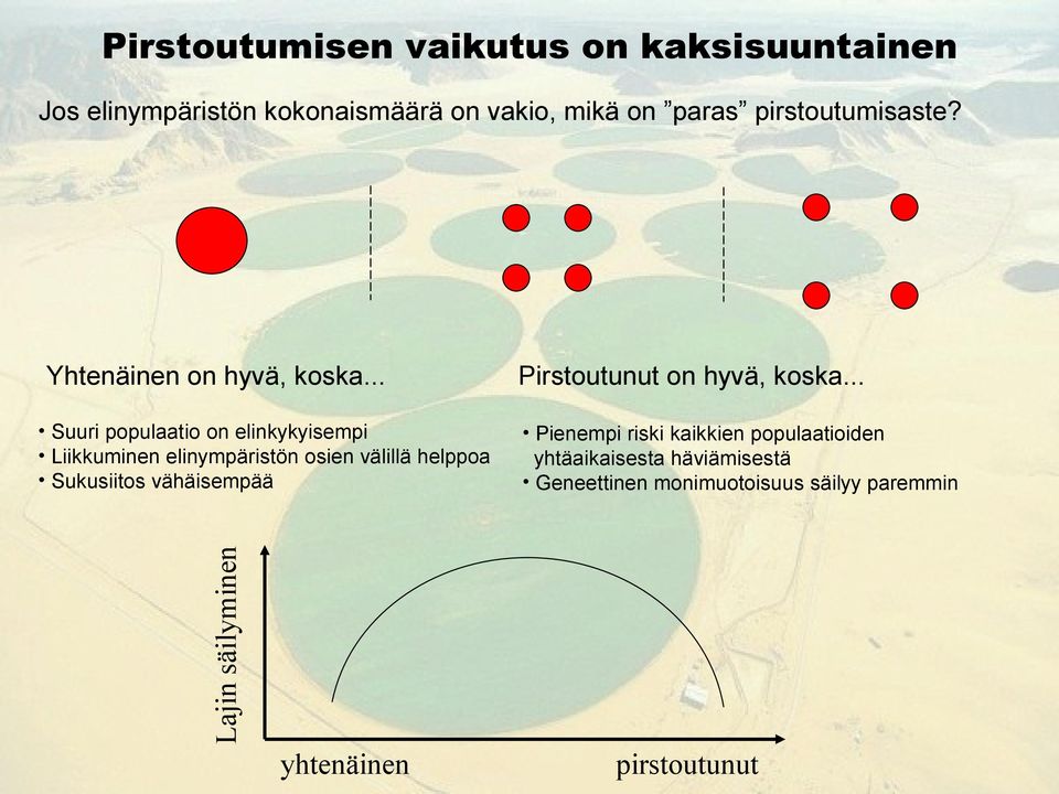 .. Pmp rk kkk popuod yhäk hävämä G momuoouu äyy prmm Lj