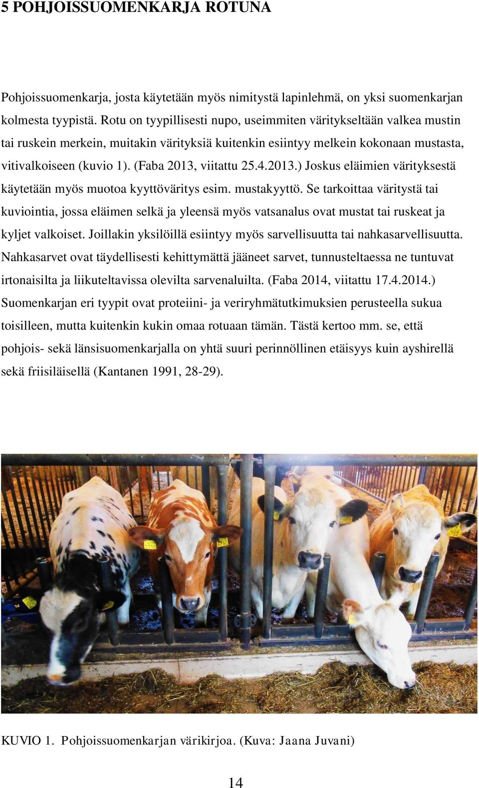 (Faba 2013, viitattu 25.4.2013.) Joskus eläimien värityksestä käytetään myös muotoa kyyttöväritys esim. mustakyyttö.