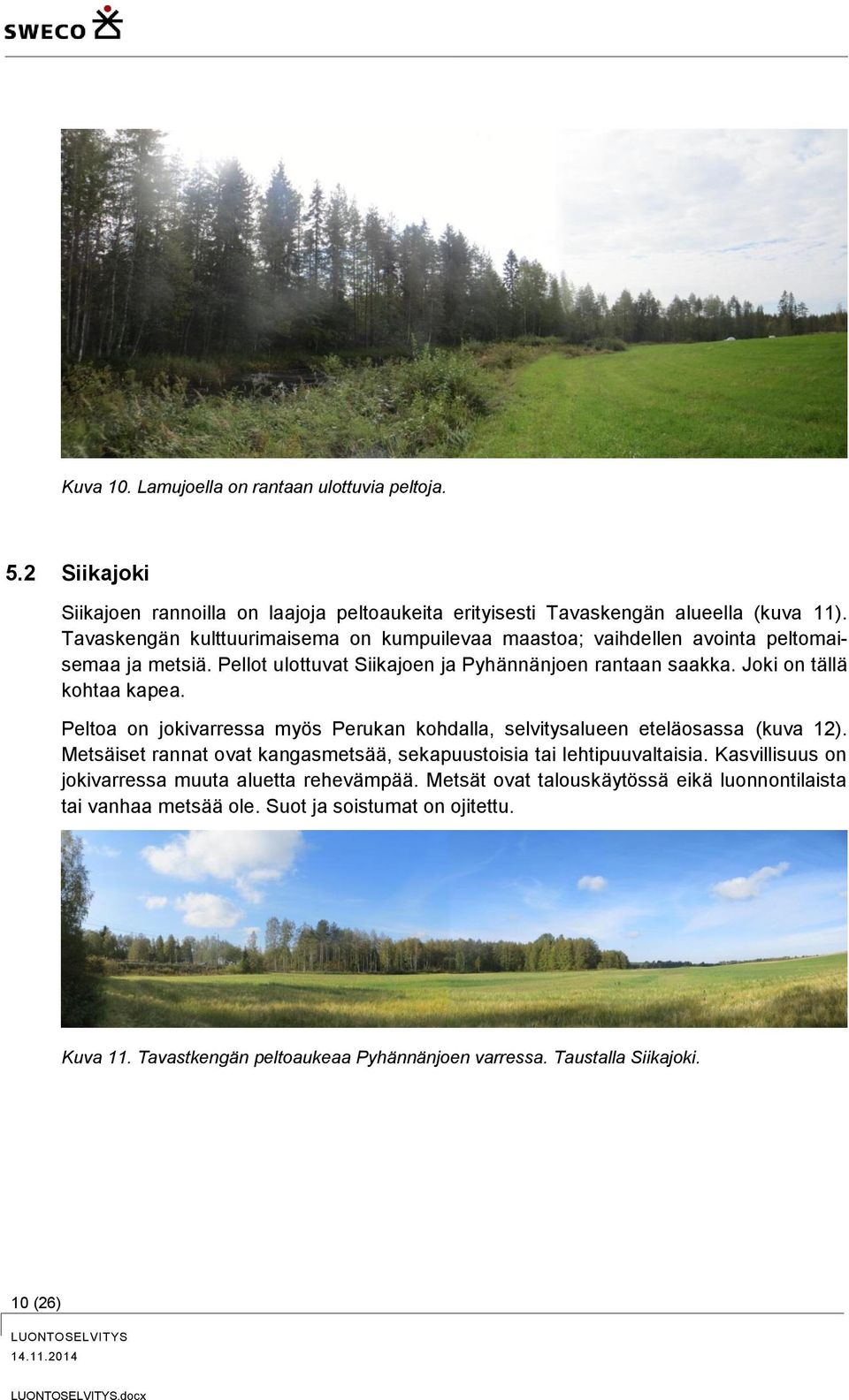 Peltoa on jokivarressa myös Perukan kohdalla, selvitysalueen eteläosassa (kuva 12). Metsäiset rannat ovat kangasmetsää, sekapuustoisia tai lehtipuuvaltaisia.