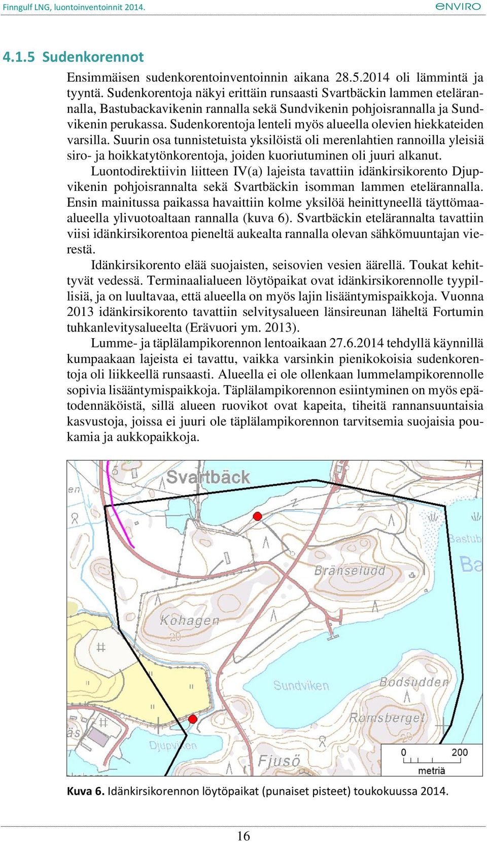 Sudenkorentoja lenteli myös alueella olevien hiekkateiden varsilla.