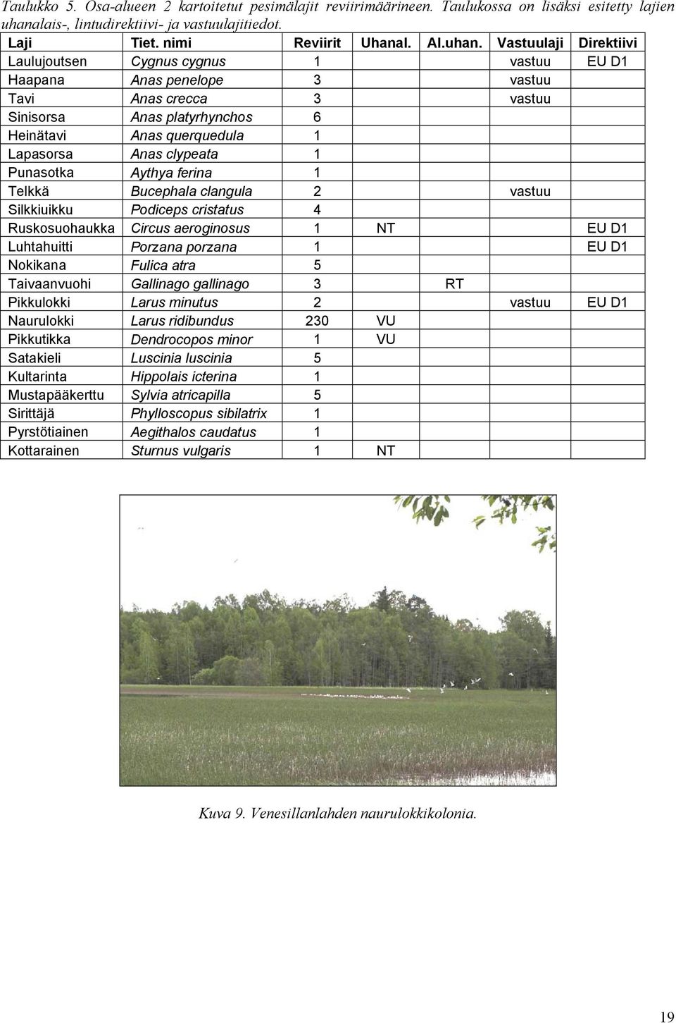 Vastuulaji Direktiivi Laulujoutsen Cygnus cygnus 1 vastuu EU D1 Haapana Anas penelope 3 vastuu Tavi Anas crecca 3 vastuu Sinisorsa Anas platyrhynchos 6 Heinätavi Anas querquedula 1 Lapasorsa Anas