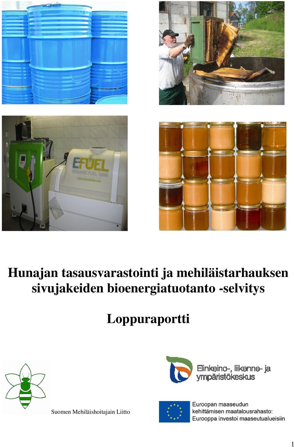 bioenergiatuotanto -selvitys