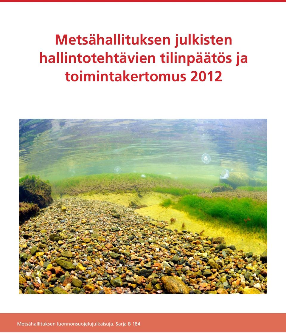 toimintakertomus 2012