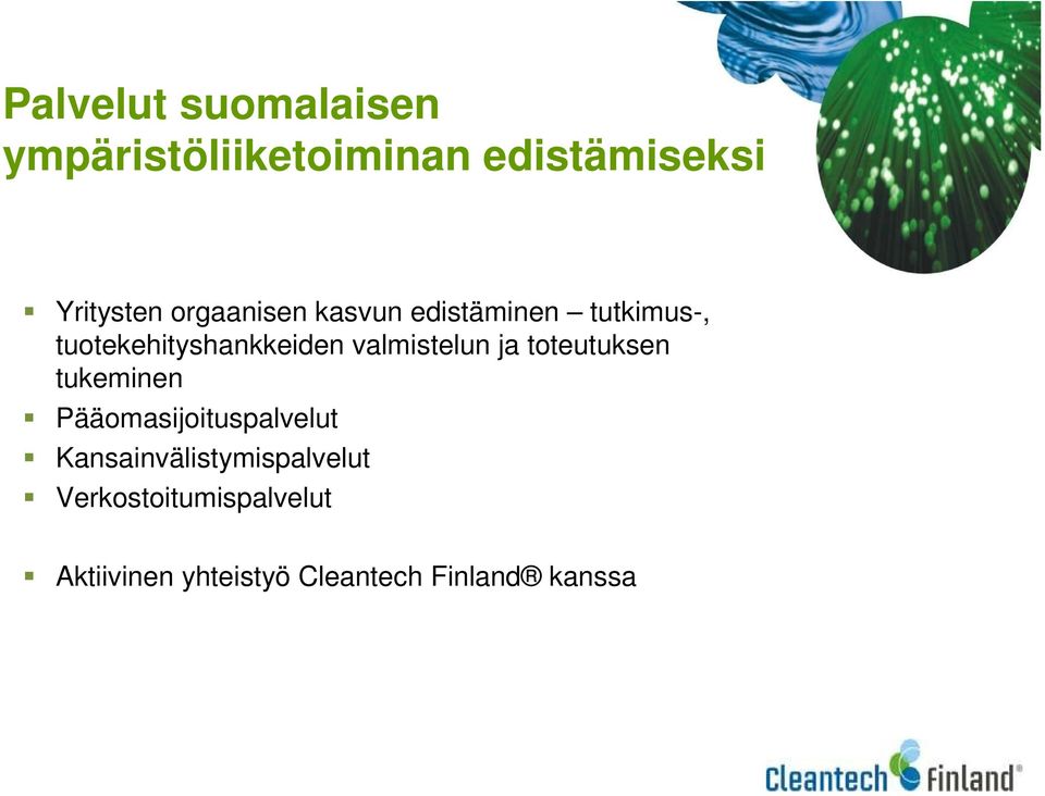 valmistelun ja toteutuksen tukeminen Pääomasijoituspalvelut