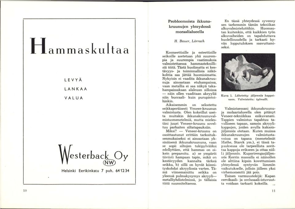 Tästä huolimatta ei kestävyys- ja toiminnallisia näkökohtia saa jättää huomioimatta.