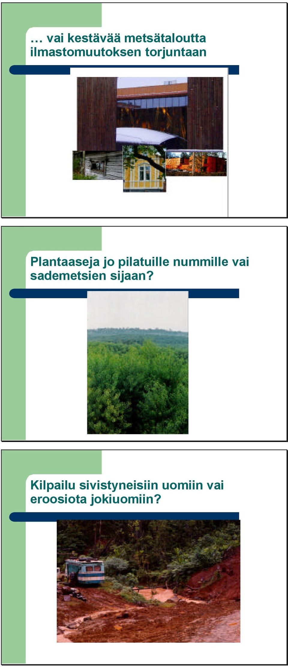 pilatuille nummille vai sademetsien sijaan?