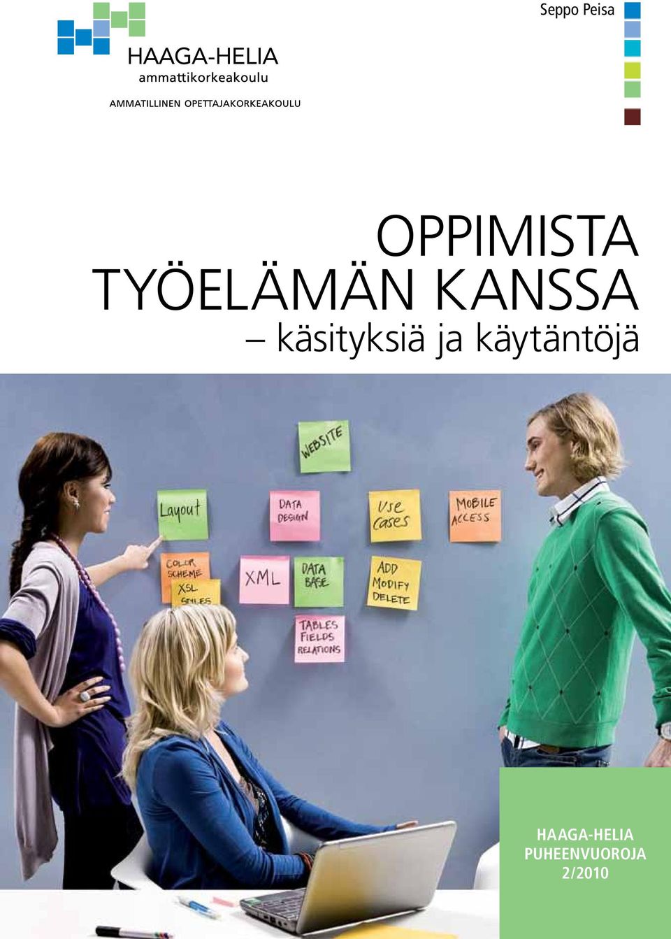 työelämän kanssa käsityksiä ja