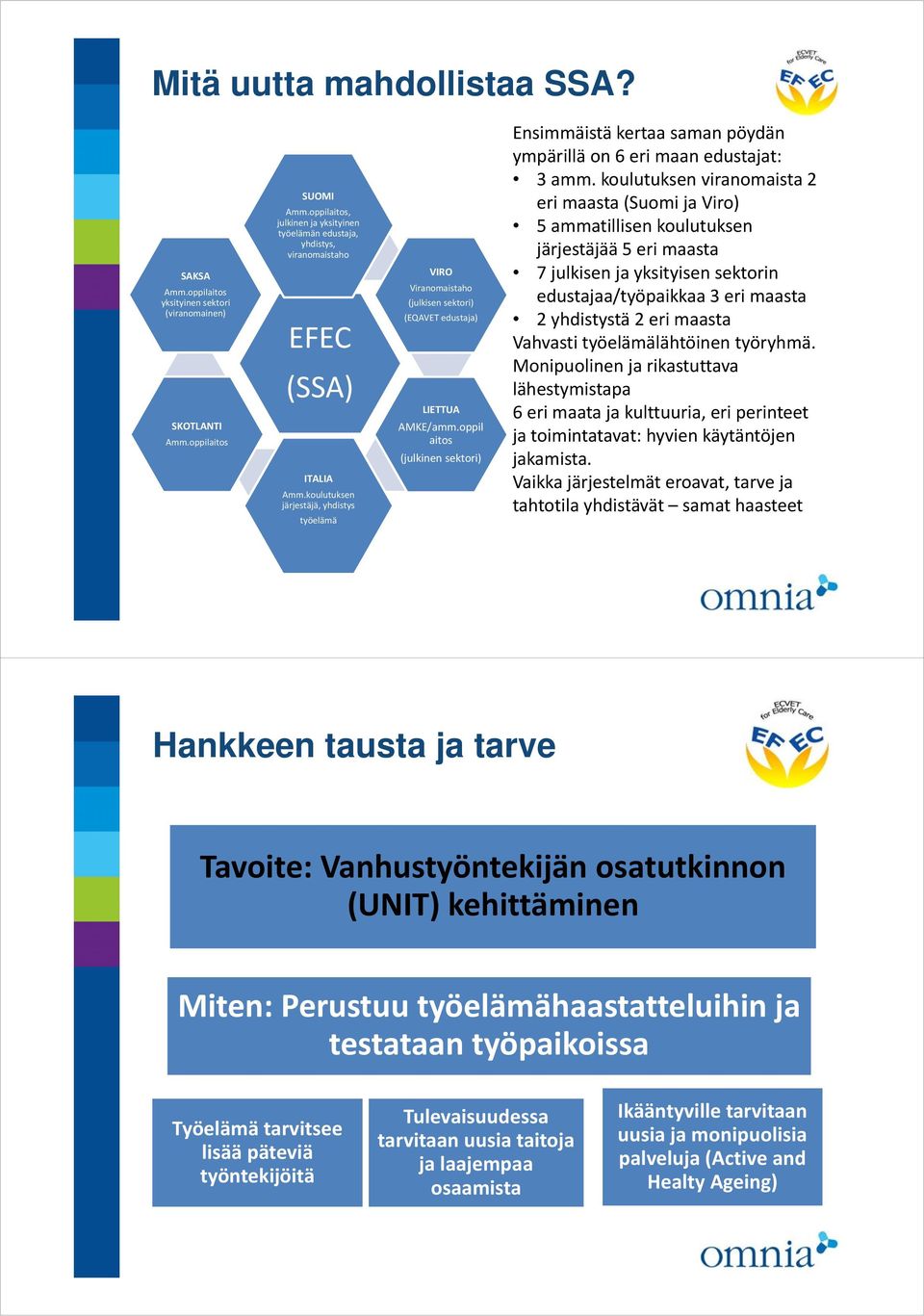 koulutuksen järjestäjä, yhdistys työelämä VIRO Viranomaistaho (julkisen sektori) (EQAVET edustaja) LIETTUA AMKE/amm.