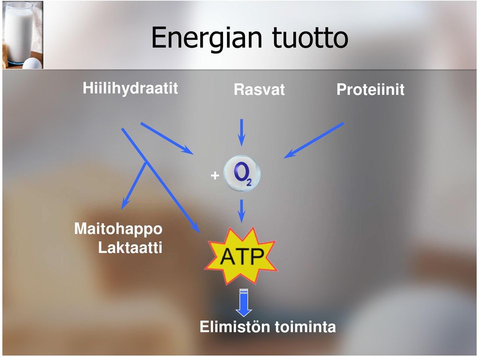 Proteiinit +