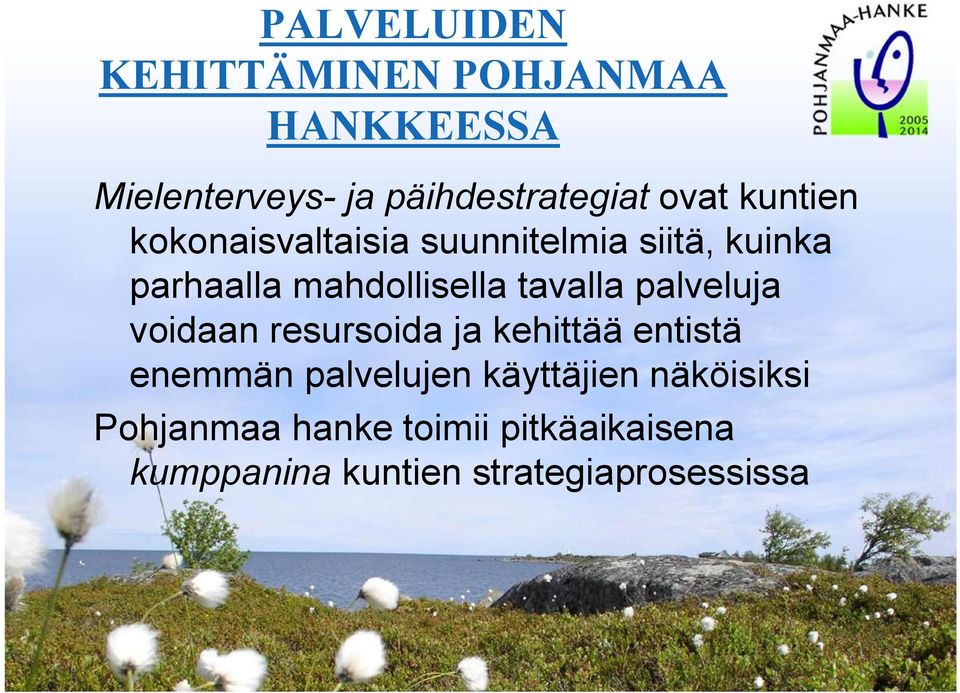 voidaan resursoida ja kehittää entistä enemmän palvelujen käyttäjien