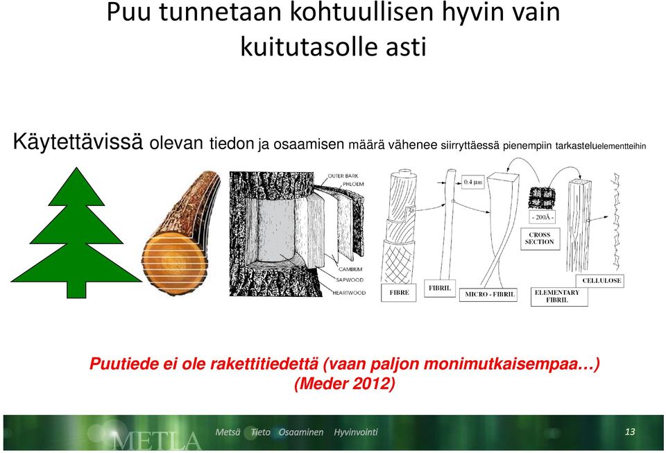 siirryttäessä pienempiin tarkasteluelementteihin Puutiede