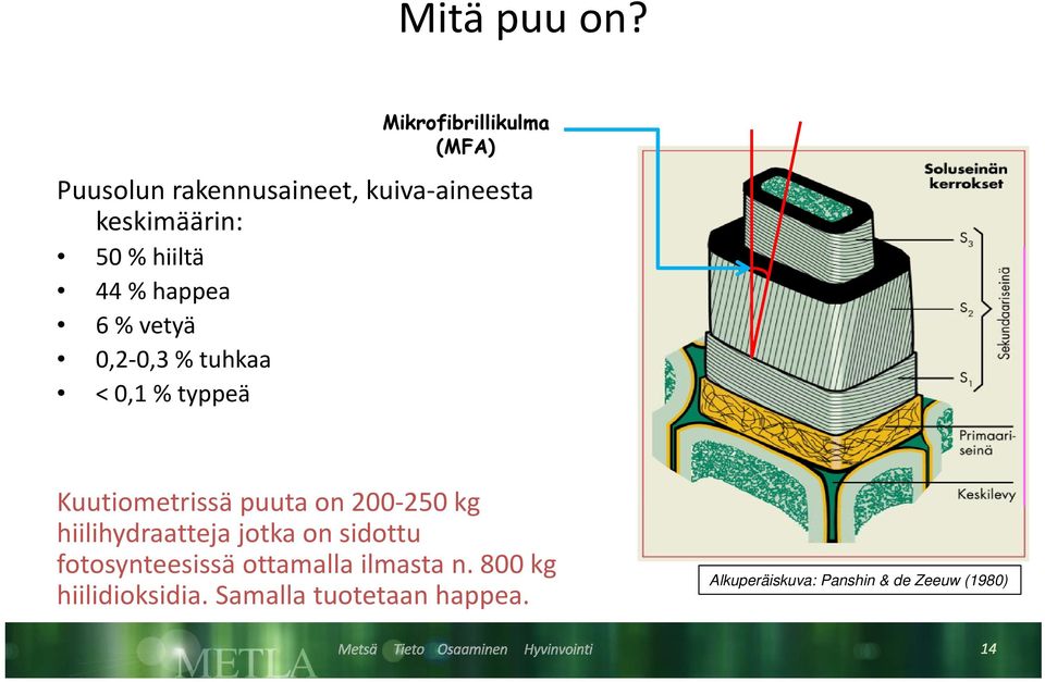 50 % hiiltä 44 % happea 6 % vetyä 0,2 0,3 % tuhkaa < 0,1 % typpeä Kuutiometrissä puuta on