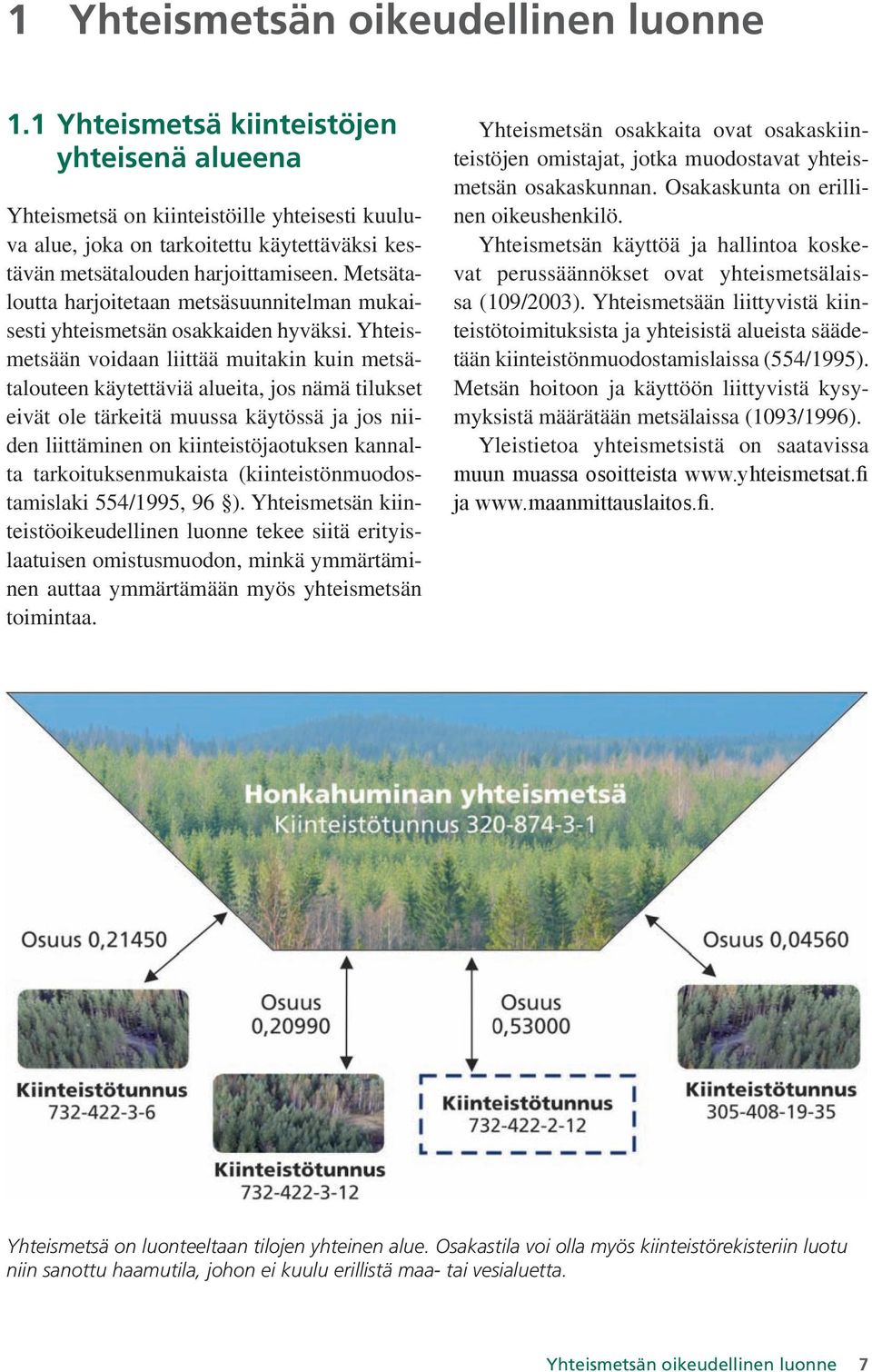 Metsätaloutta harjoitetaan metsäsuunnitelman mukaisesti yhteismetsän osakkaiden hyväksi.