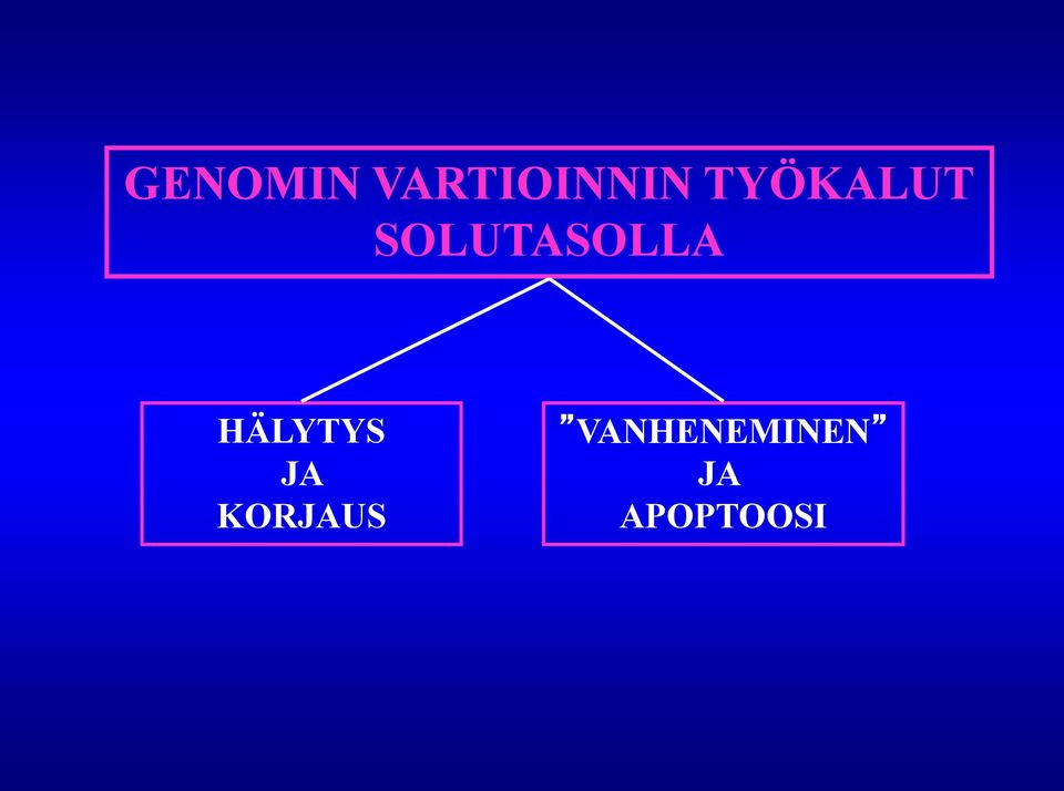 HÄLYTYS JA KORJAUS