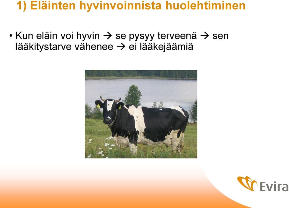 hyvin se pysyy terveenä sen