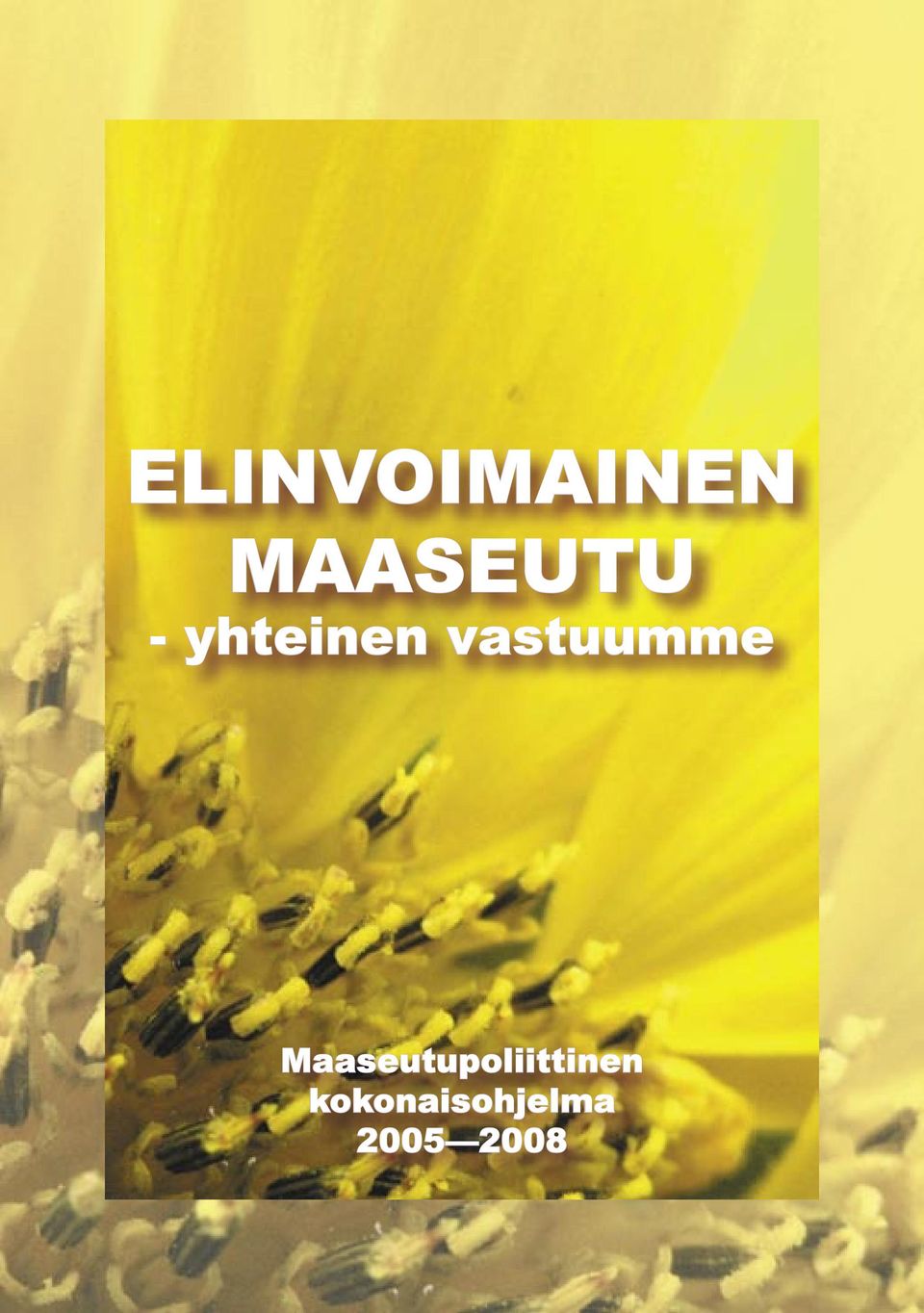 vastuumme