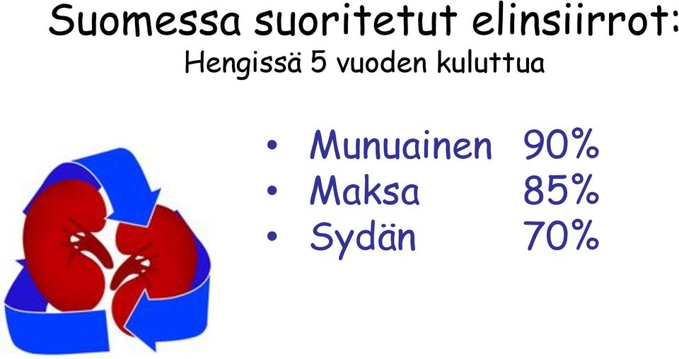 vuoden kuluttua