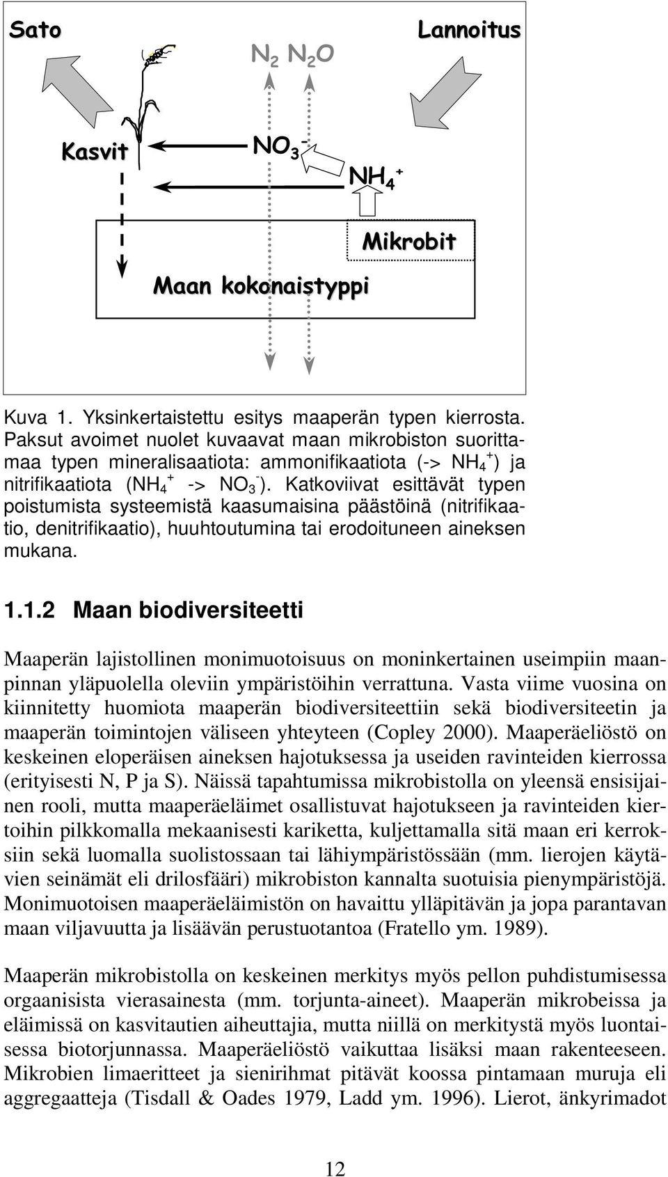 Katkoviivat esittävät typen poistumista systeemistä kaasumaisina päästöinä (nitrifikaatio, denitrifikaatio), huuhtoutumina tai erodoituneen aineksen mukana. 1.