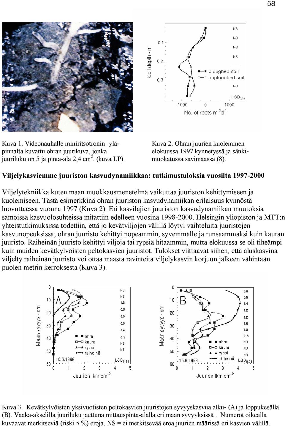 Viljelykasviemme juuriston kasvudynamiikkaa: tutkimustuloksia vuosilta 1997-2000 Viljelytekniikka kuten maan muokkausmenetelmä vaikuttaa juuriston kehittymiseen ja kuolemiseen.