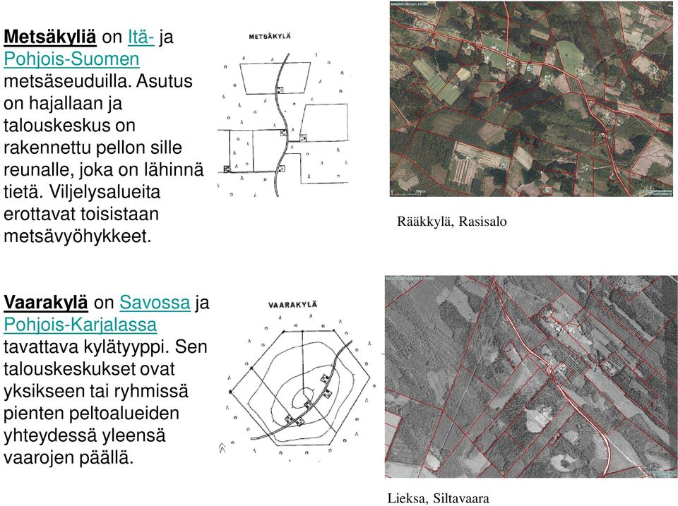 Viljelysalueita erottavat toisistaan metsävyöhykkeet.